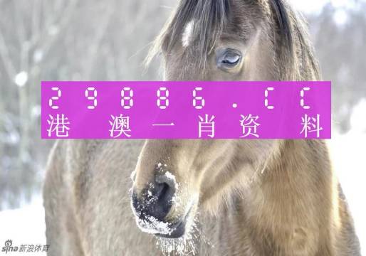第441页