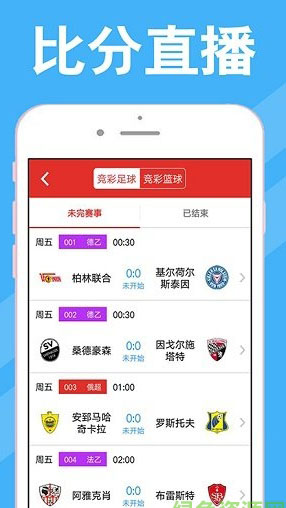 新澳门彩天天开奖资料一，经典解答解释落实_GM版39.89.61