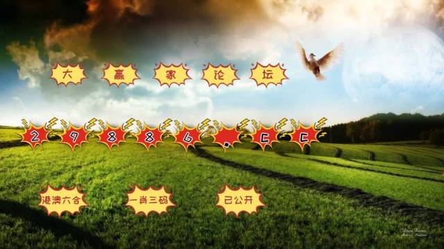 2024年10月 第13页