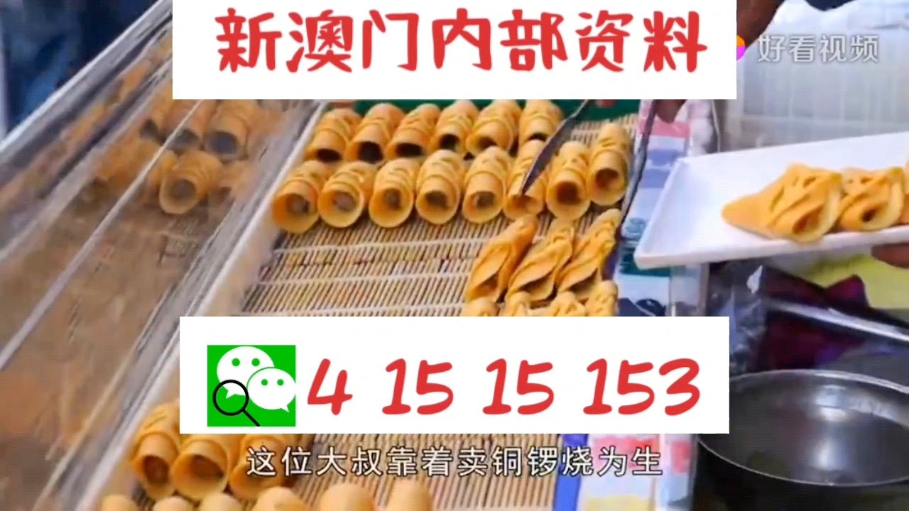 新澳门2024年资料大全管家婆，重点解答解释落实_3DM12.72.60