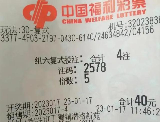 新奥彩资料大全最新版，重点解答解释落实_3D87.88.95