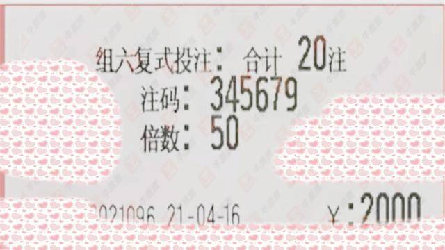 澳门王中王100%的资料2024，最新解答解释落实_VIP80.81.14