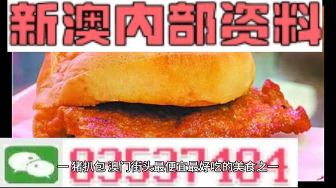 2024澳门精准正版资料大全，精准解答解释落实_GM版16.87.29