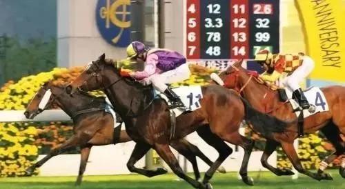香港准一肖一码一码，节奏解答解释落实_The98.65.65