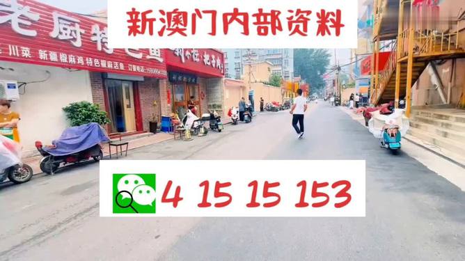 2024年澳门天天开好彩大全，专家解答解释落实_The41.28.26