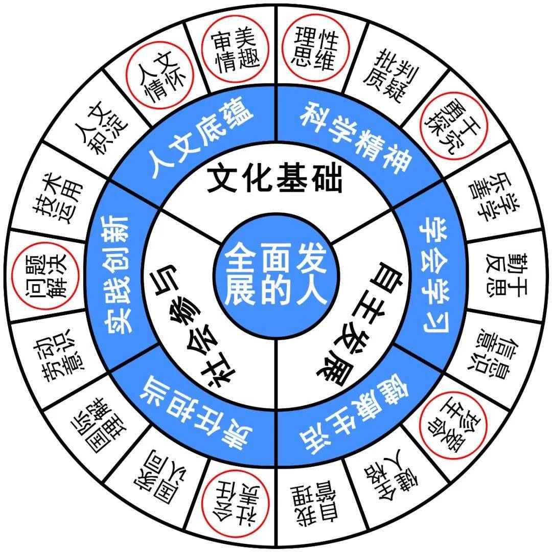 新澳精准资料免费提供510期，彻底解答解释落实_Sims53.79.91