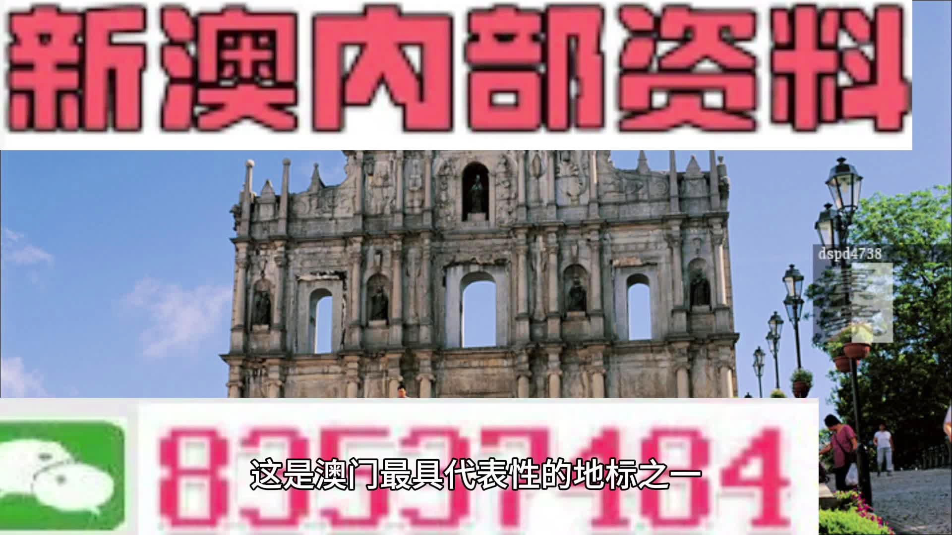 2024年新澳开奖结果公布，领域解答解释落实_app54.16.48