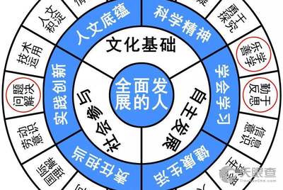 2024新奥正版资料免费大全，精准解答解释落实_Sims38.65.51